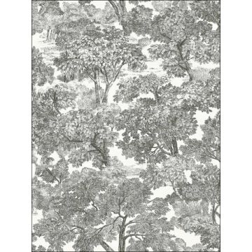 Spinney Toile Black Wallpaper