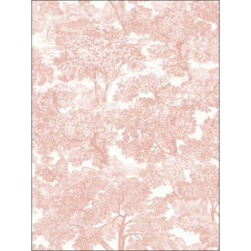 Spinney Toile Rose Wallpaper