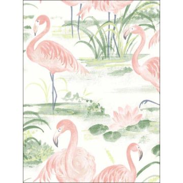 Everglades Flamingos Coral Wallpaper