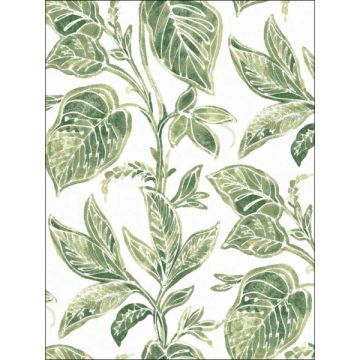 Mangrove Botanical Green Wallpaper