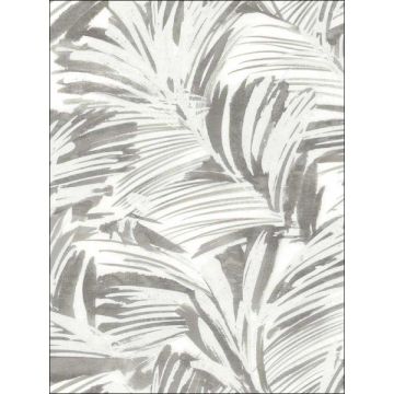 Chaparral Fronds Grey Wallpaper