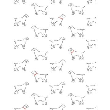 Yoop Dog White Wallpaper