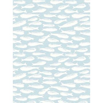 Nunkie Sardine Aqua Wallpaper