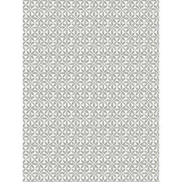 Jellia Petal Geometric Charcoal Wallpaper