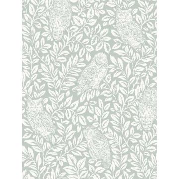 Parliament Owl Seafoam Wallpaper