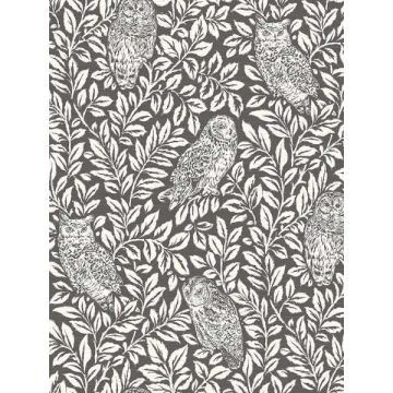 Parliament Owl Charcoal Wallpaper