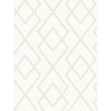 Blaze Trellis Taupe Wallpaper