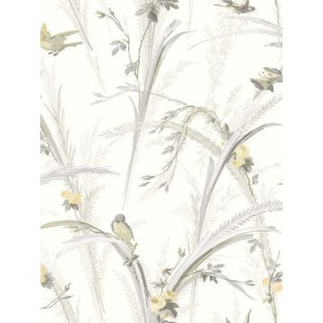 Meadowlark Botanical Yellow Wallpaper