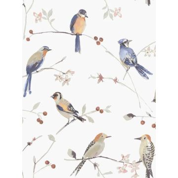 Birdsong Trail Orange Wallpaper