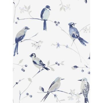 Birdsong Trail Blue Wallpaper