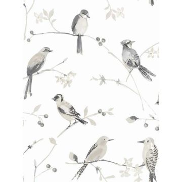 Birdsong Trail Grey Wallpaper