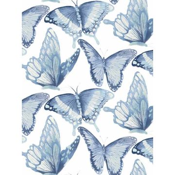 Janetta Butterfly Blue Wallpaper
