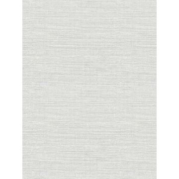 Agave Faux Grasscloth Sky Blue Wallpaper