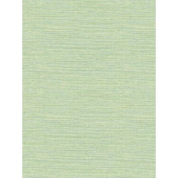 Agave Faux Grasscloth Green Wallpaper