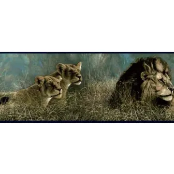 Lions in the Grass Wallpaper Border