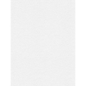 Kiefer Bark Paintable White Wallpaper