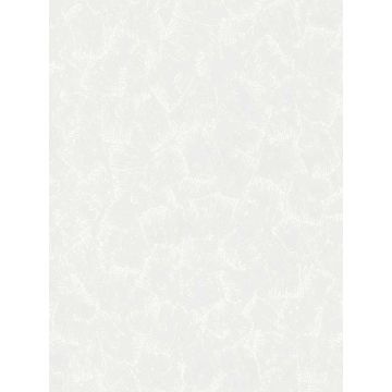 Gustave Plaster Paintable White Wallpaper