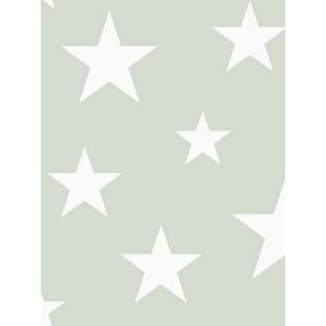 Amira Stars Sage Wallpaper