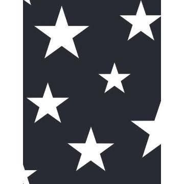Amira Stars Navy Wallpaper