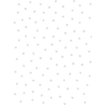 Pixie Dots Grey Wallpaper