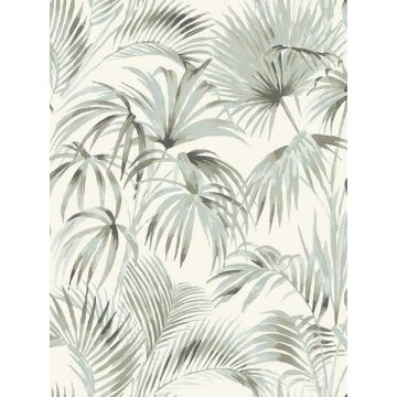 Manaus Palm Frond Aqua Wallpaper