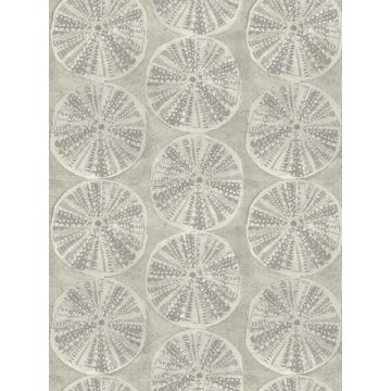 Biscuit Sand Dollar Grey Wallpaper