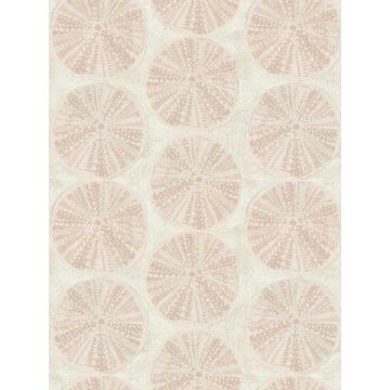 Biscuit Sand Dollar Peach Wallpaper