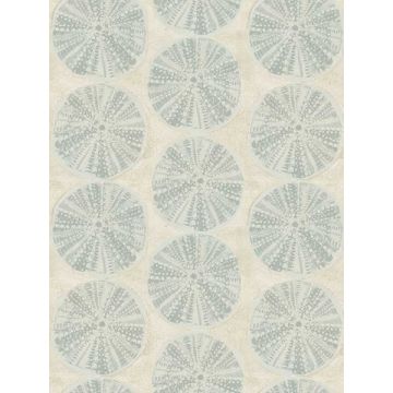 Biscuit Sand Dollar Aqua Wallpaper
