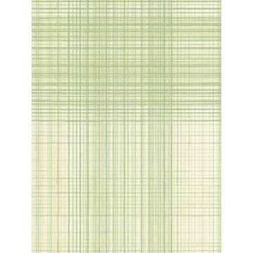 Madras Plaid Green Wallpaper