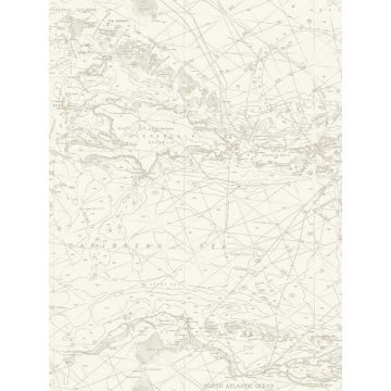 Charts Nautical Chart Taupe Wallpaper