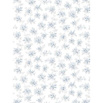 Sofiane Botanical Trail Blue Wallpaper