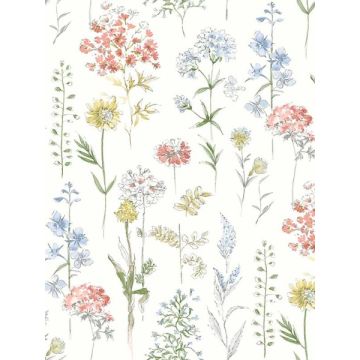 Bergamot Wildflower Multicolor Wallpaper