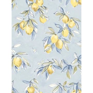 Lemonade Citrus Light Blue Wallpaper