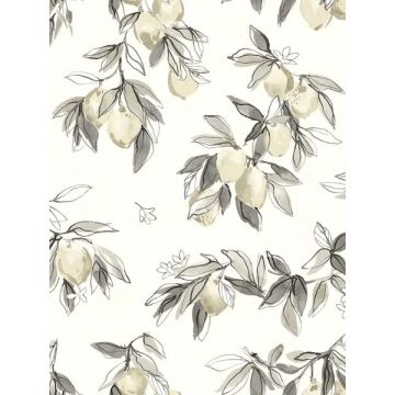Lemonade Citrus Grey Wallpaper
