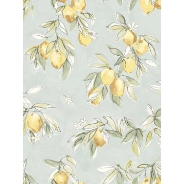 Lemonade Citrus Aqua Wallpaper