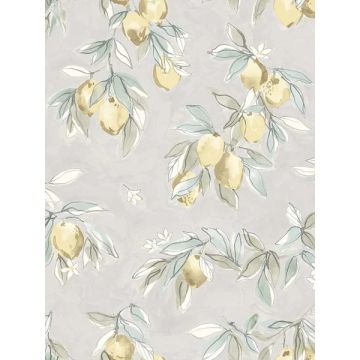 Lemonade Citrus Charcoal Wallpaper