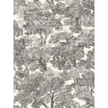 Spinney Toile Black Wallpaper