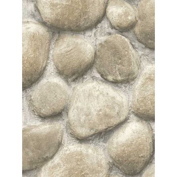 Root Rock Grey Wallpaper