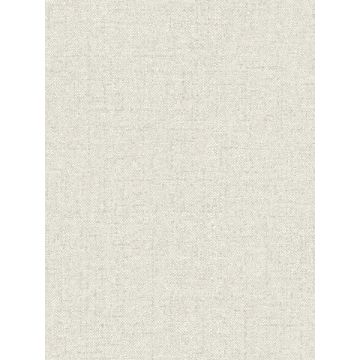Kameez Texture Grey Wallpaper
