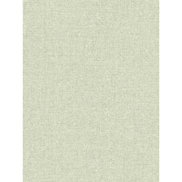 Kameez Texture Green Wallpaper