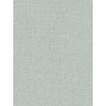 Kameez Texture Teal Wallpaper