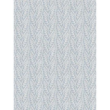 Coleus Leaves Blue Wallpaper