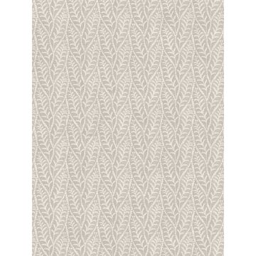 Coleus Leaves Grey Wallpaper