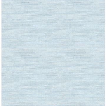 Agave Sky Blue Wallpaper