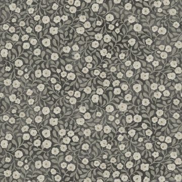 Poppy Trail Black Wallpaper