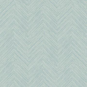 Caladesi Aqua Wallpaper