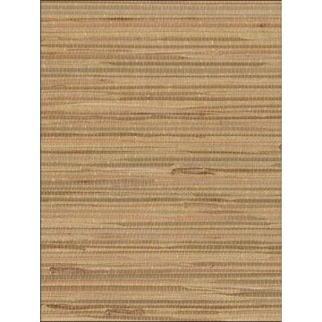 Regular Boodle Foil Backing Gold Tan Metallic Wallpaper