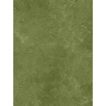 Green and White Faux Wallpaper