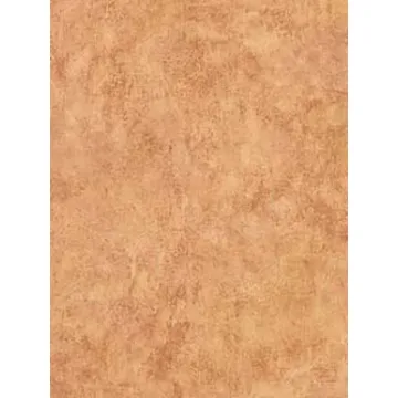 Tan and Burgundy Faux Wallpaper