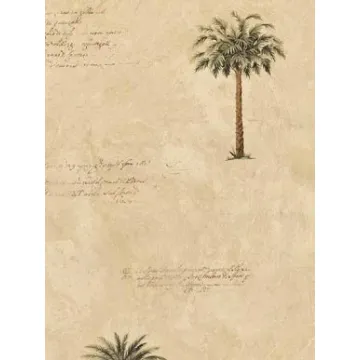 Tropical Tree Wallpaper 5813500